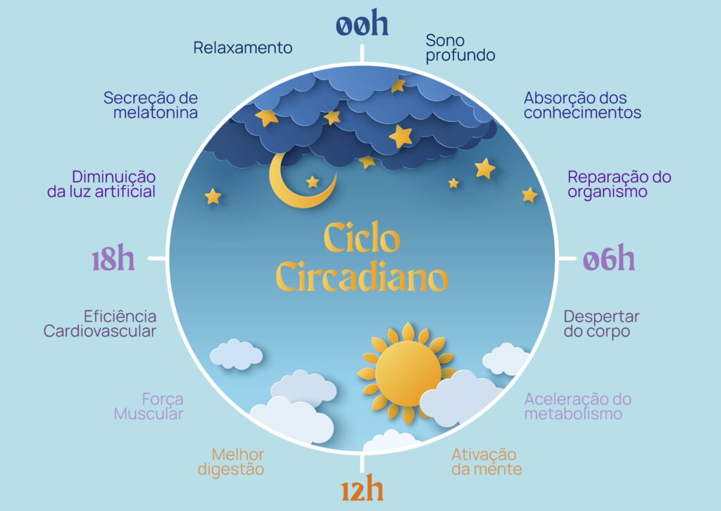 Gráfico Ciclo Circadiano